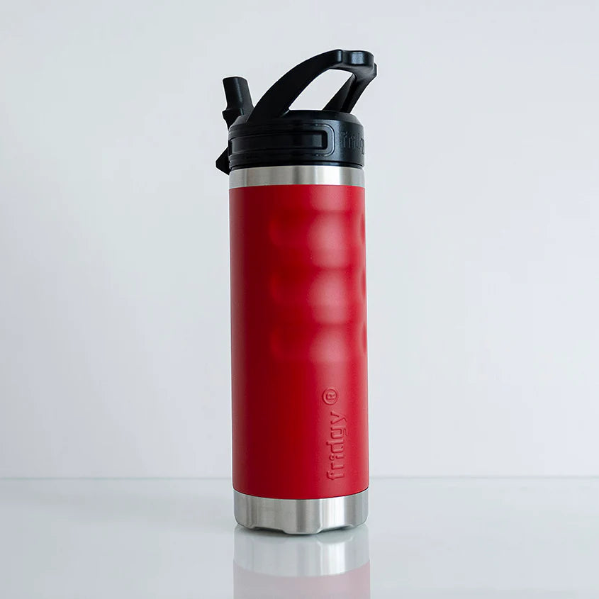 FRIDGY 540ML INSULATED BOTTLE